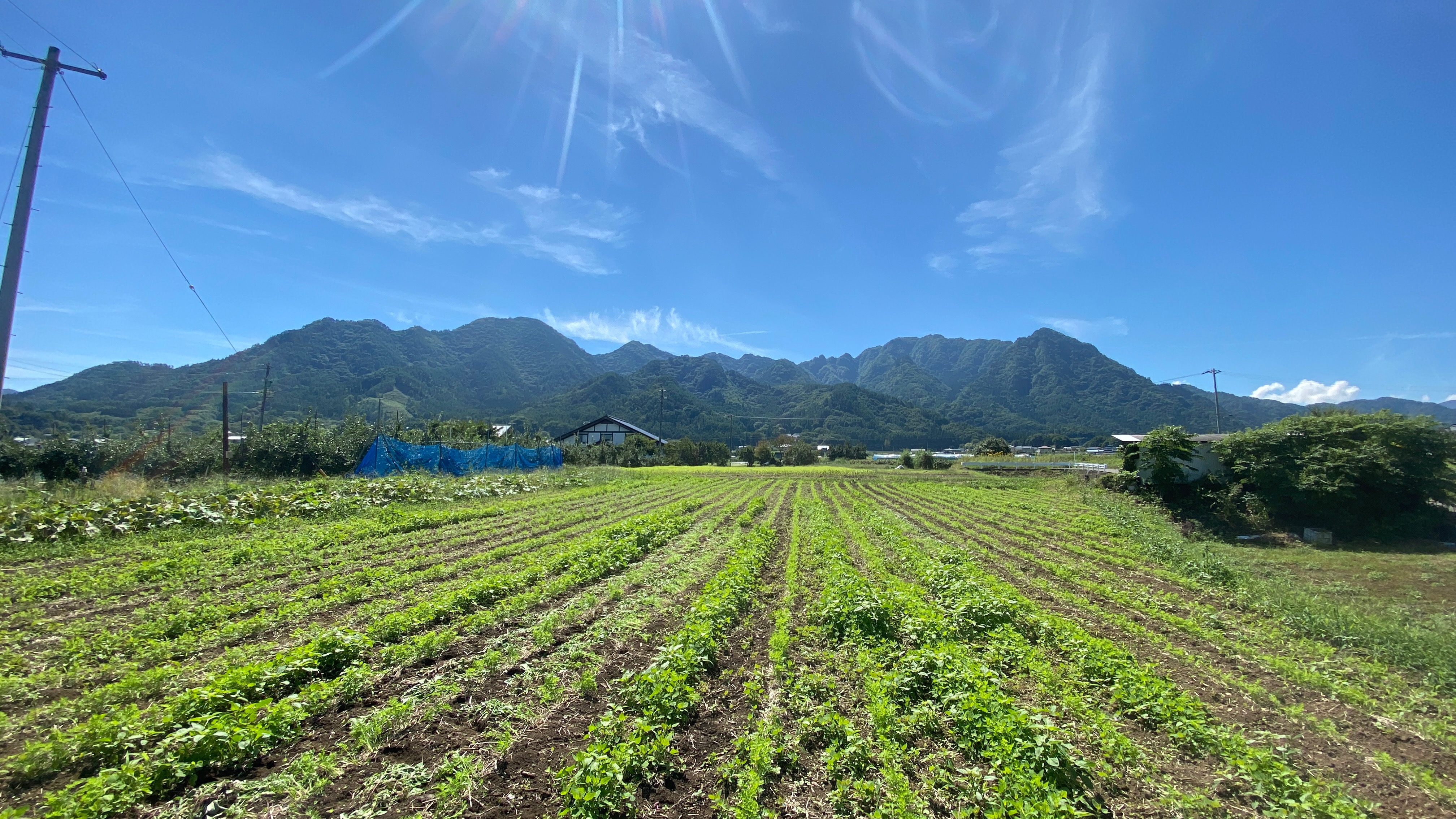 信州の畑と山並み